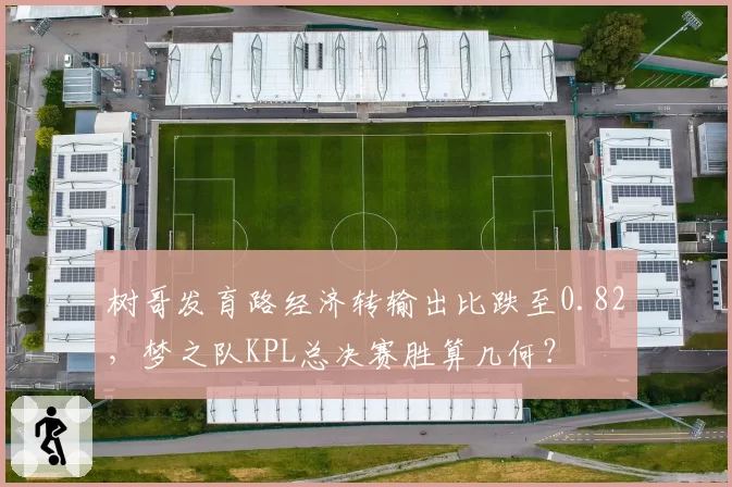 树哥发育路经济转输出比跌至0.82，梦之队KPL总决赛胜算几何？