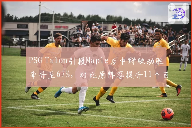 PSG Talon引援Maple后中野联动胜率升至67%,对比原阵容提升11个百分点