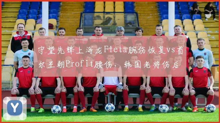 守望先锋上海龙Fleta腕伤恢复vs首尔王朝Profit腰伤，韩国老将伤后状态回升对比