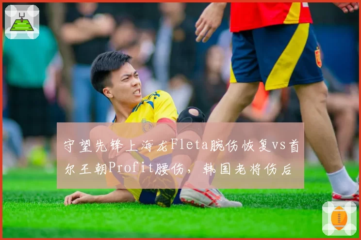 守望先锋上海龙Fleta腕伤恢复vs首尔王朝Profit腰伤，韩国老将伤后状态回升对比